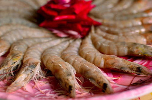 فروش میگو پرورشی سایز 60